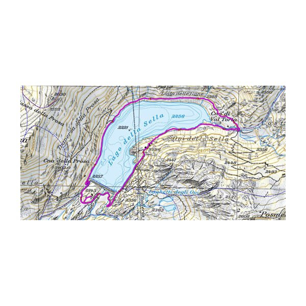 GARMIN TOPO Switzerland V2 Pro mirco SD Speicherkarte - Topografische Vektor- und Rasterkarte (010-12576-01)